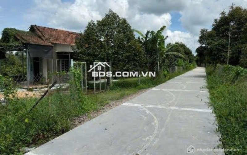 Bán Đất 144.7m2 có sẵn 137 m2 thổ cư giá 2.9 tỷ tại Xã Sông Nhạn Huyện Cẩm Mỹ Đồng Nai